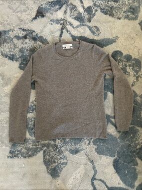 Ellen Tracy Women’s Crewneck Sweater in Brown